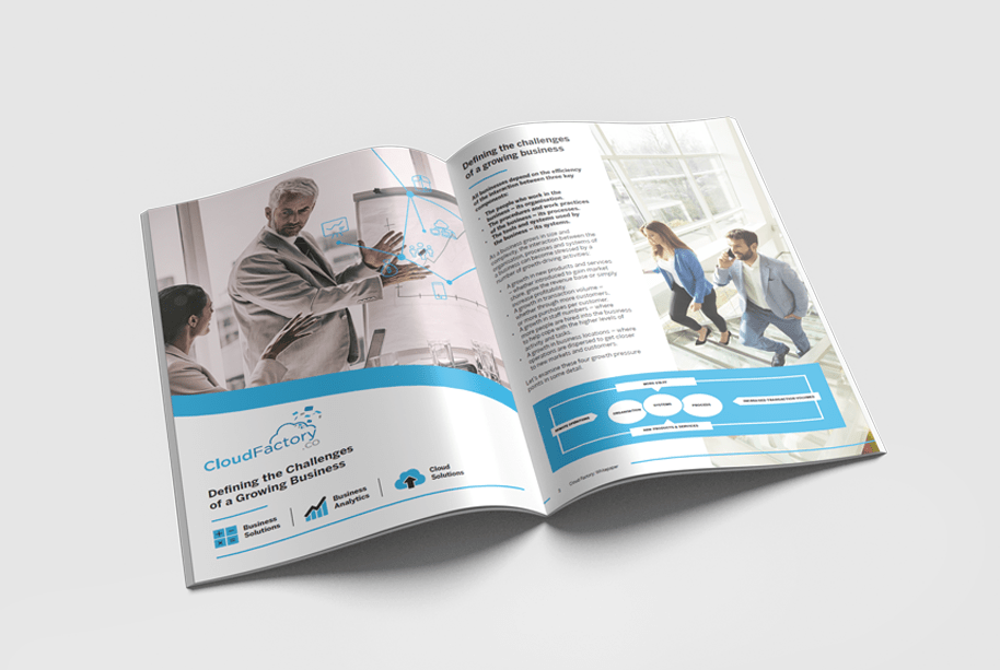 Defining the challenges of a growing business