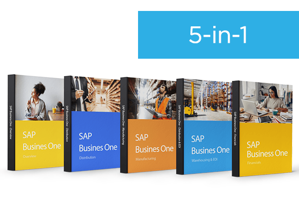 SAP Business One Bundle Pack