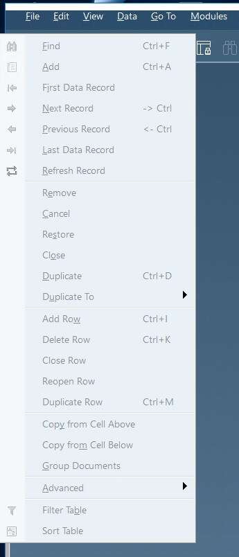 SAP-B1-menu-bar-data