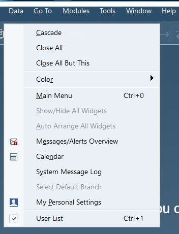 SAP-B1-menu-bar-window