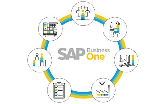 sap-business-one-guide