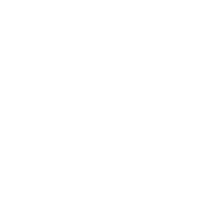 Inecom-Icons-White-21