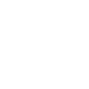 Inecom-Icons-White-43