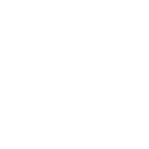 Inecom-Icons-White-76
