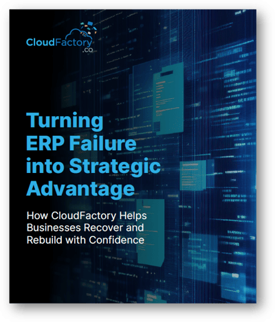 Guide: ERP Project Recovery