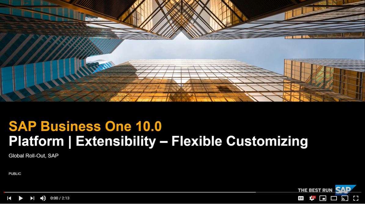 SAP Business One V10 - Flexible customizing