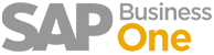 SAP-Business-One-Logo-2