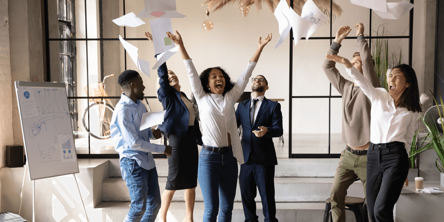 professional-service-from-Wiise-for-Microsoft-Business-Central1-1