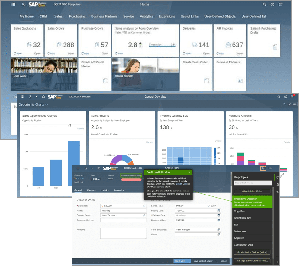 SAP Business One Web Client General Use